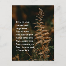 Isaías 46:4 Soy el que te sustentará Postcard