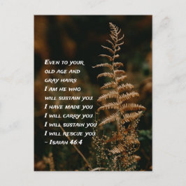 Postal Isaías 46:4 Soy el que te sustentará Postcard