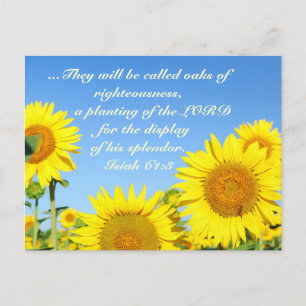 Postal Isiah 61:3 Biblia Verse Postcard