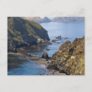 Postal Isla Anacapa