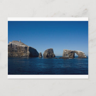 Postal Isla Anacapa