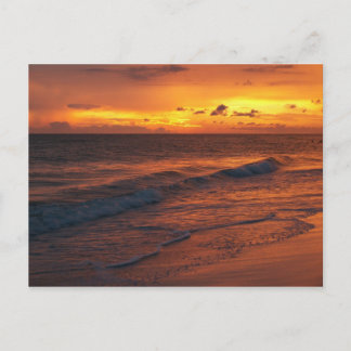 Postal Isla Anna Maria, FL