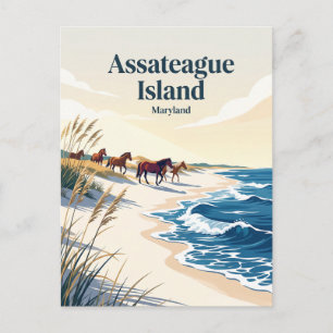 Postal Isla Assateague Maryland