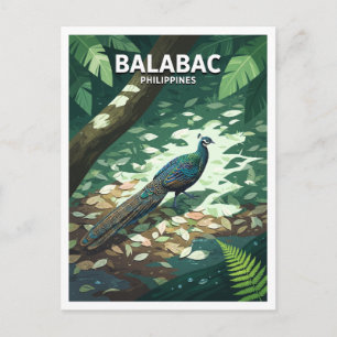 Postal Isla Balabac Interior del Bosque Filipinas Viajes