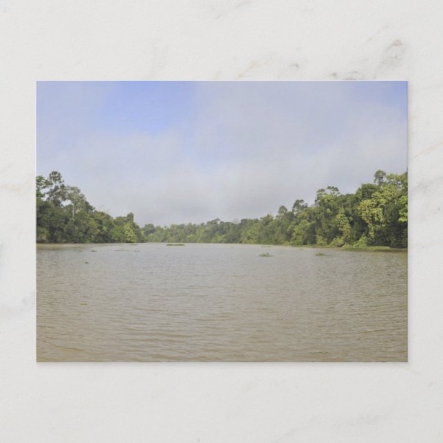 Postal Isla Borneo, Malasia, vista panorámica (Anverso)