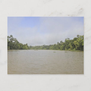 Postal Isla Borneo, Malasia, vista panorámica
