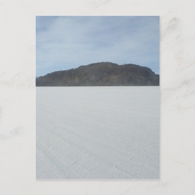 Postal Isla Cactus (Anverso)