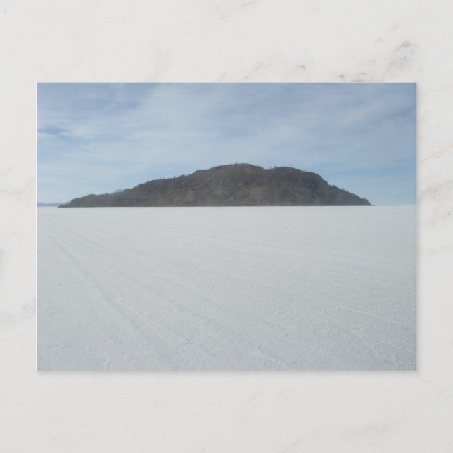 Postal Isla Cactus (Anverso)