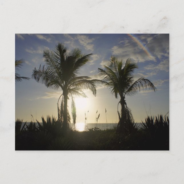 Postal Isla Captiva (Anverso)