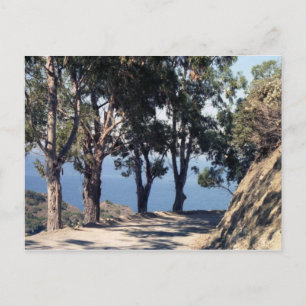 Postal Isla Catalina