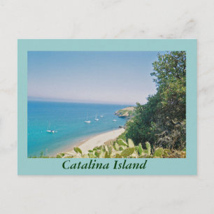 Postal Isla Catalina