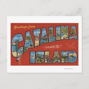 Postal Isla Catalina, California - Escena de letras grand