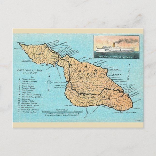 Postal Isla Catalina Vintage (Anverso)