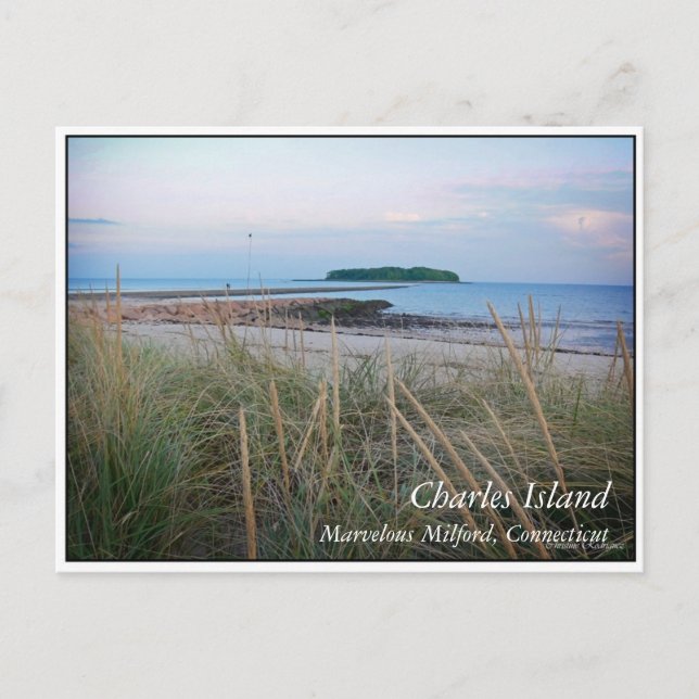 Postal Isla Charles (Anverso)