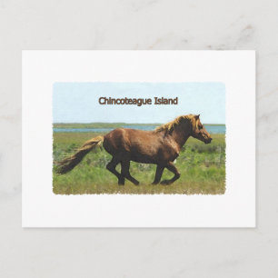 Postal Isla Chincoteague (logo del stallion en ejecución)