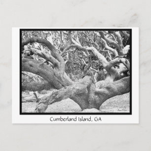 Postal Isla Cumberland, GA