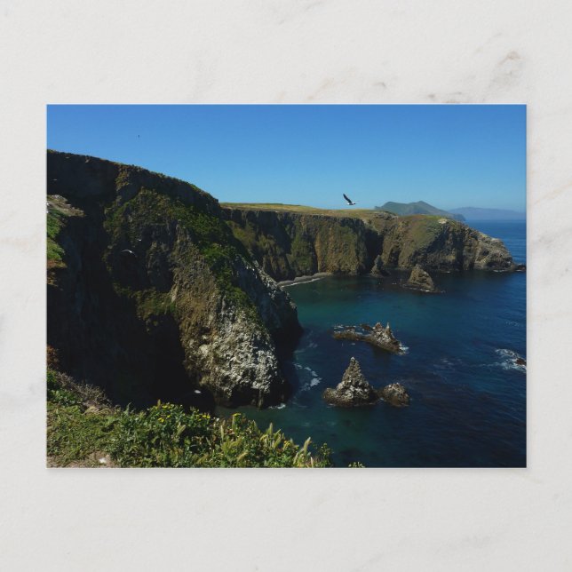 Postal Isla de Anacapa en el Parque Nacional de las Islas (Anverso)