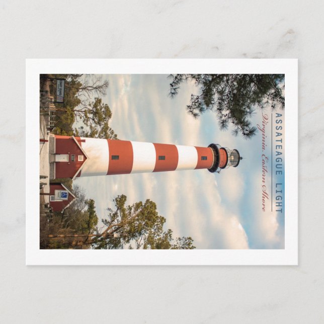 Postal Isla de Assateague. (Anverso)