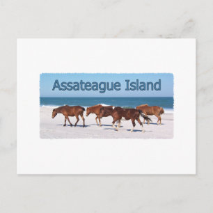 Postal Isla de Assateague (apodos en el logo de la playa)