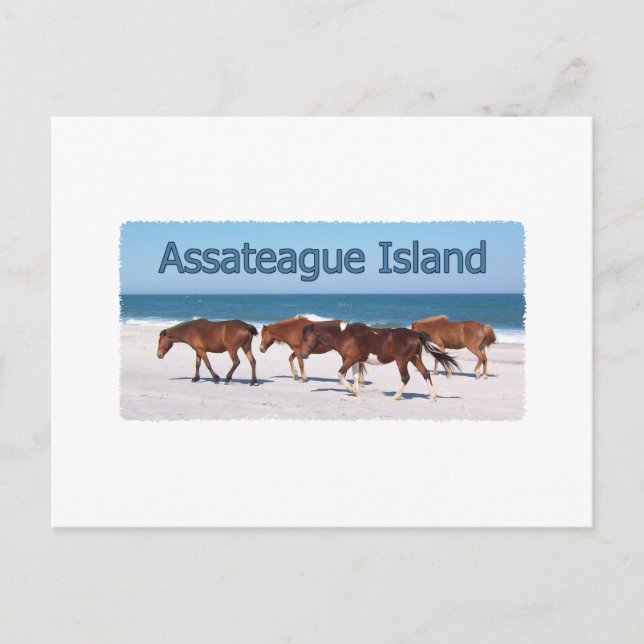Postal Isla de Assateague (apodos en el logo de la playa) (Anverso)
