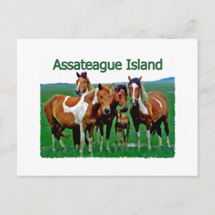 Postal Isla de Assateague (familia pony)