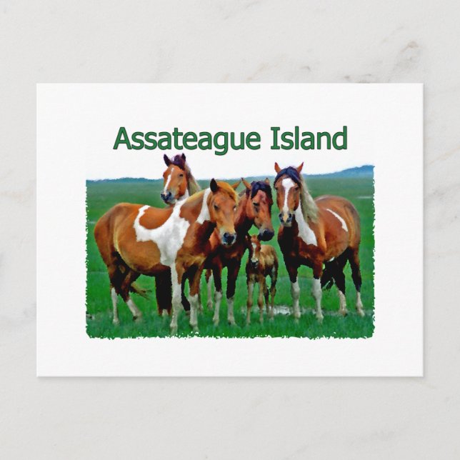 Postal Isla de Assateague (familia pony) (Anverso)