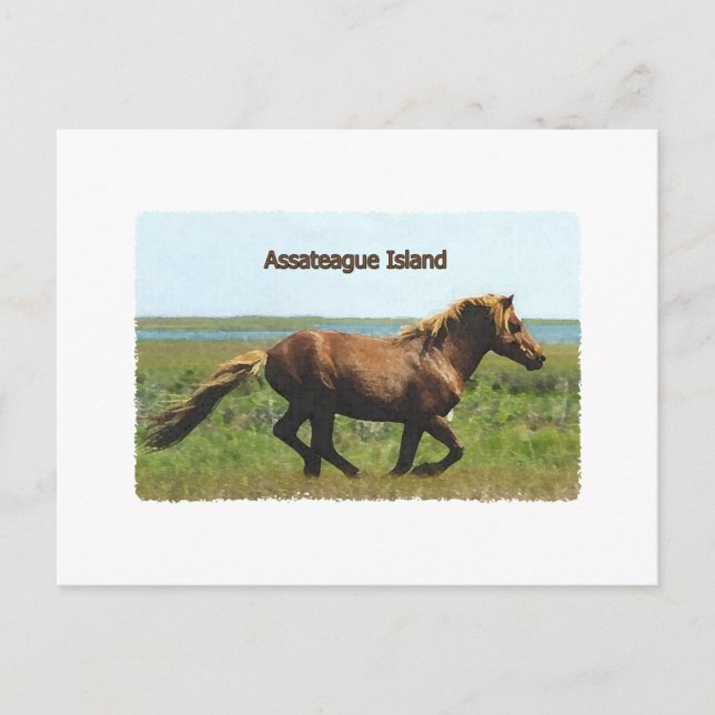 Postal Isla de Assateague (logo del stallion en ejecución (Anverso)