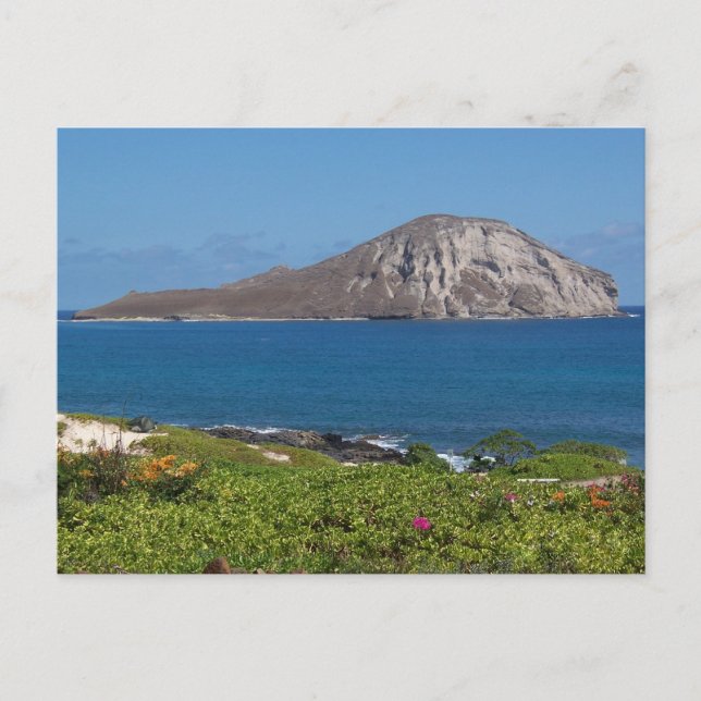 Postal Isla de Conejo Oahu Hawaii (Anverso)