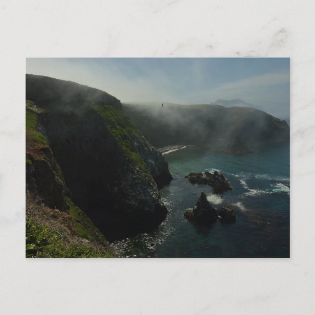 Postal Isla de Foggy Anacapa en Islas del Canal (Anverso)