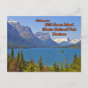 Postal Isla de la oca salvaje St Mary Lake Montana
