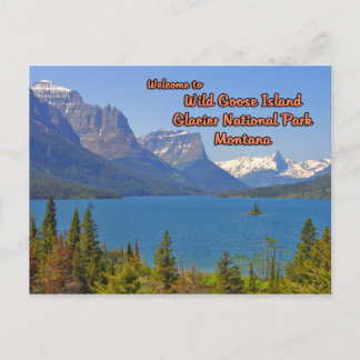Postal Isla de la oca salvaje St Mary Lake Montana