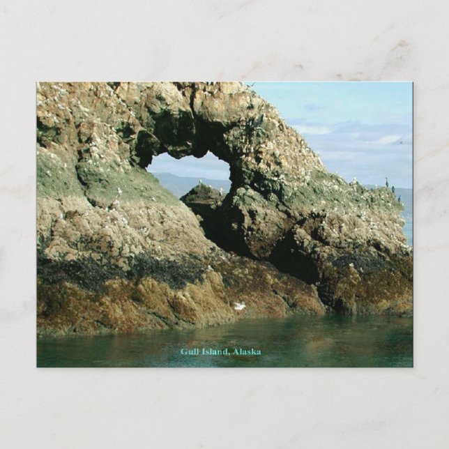 Postal Isla de las Gaviotas, Alaska (Anverso)