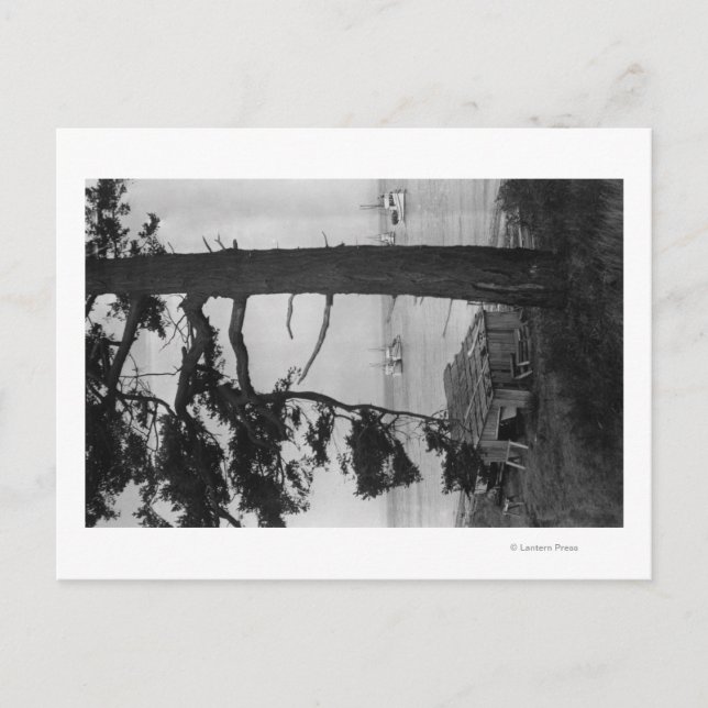 Postal Isla de López, WA - Pescadores En Bahía (Anverso)