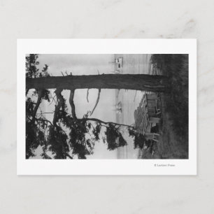 Postal Isla de López, WA - Pescadores En Bahía