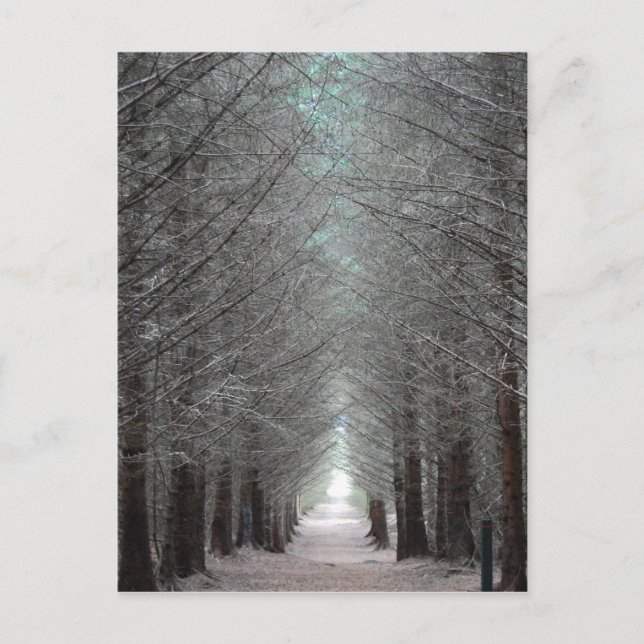 Postal Isla de Mull (Anverso)