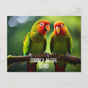 POSTAL ISLA DE NATURALEZA DE DOMINICA PARROS