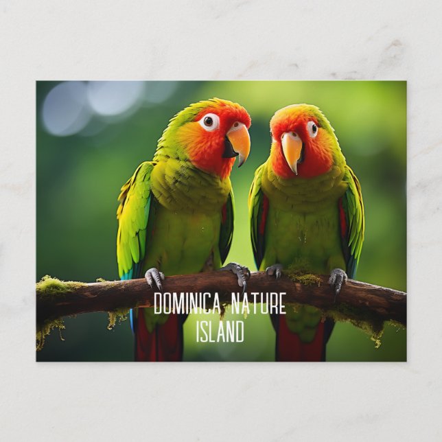 POSTAL ISLA DE NATURALEZA DE DOMINICA PARROS (Anverso)