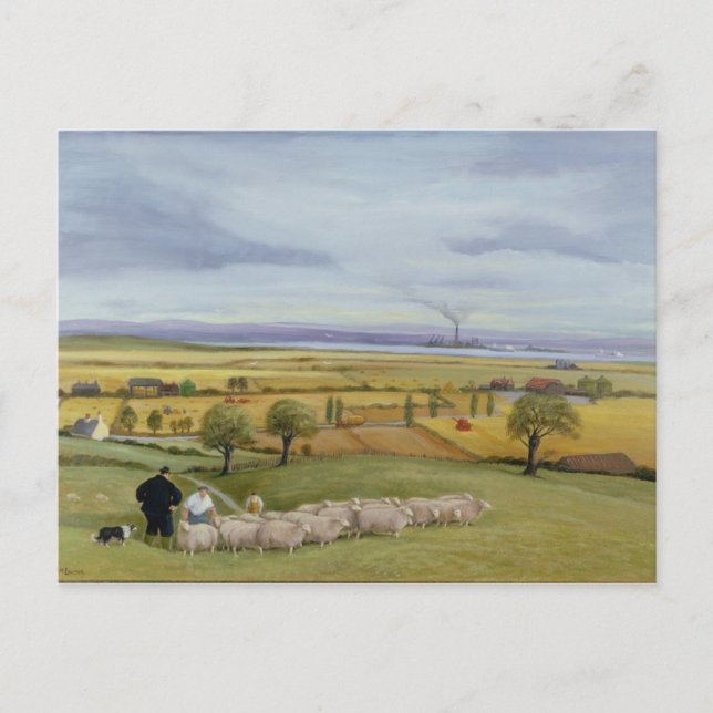 Postal Isla de Sheep Farmer (Anverso)