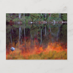 Postal Isla del Desierto   Parque nacional Acadia, Maine