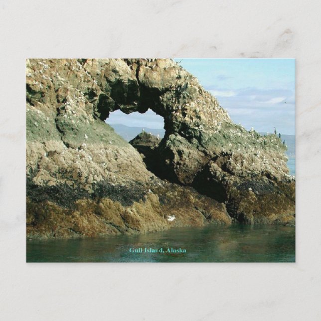Postal Isla del Gull, Alaska (Anverso)