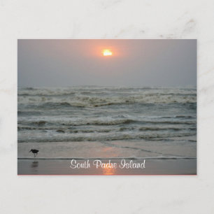 Postal Isla del Padre Sur Texas Sunrise Post Card