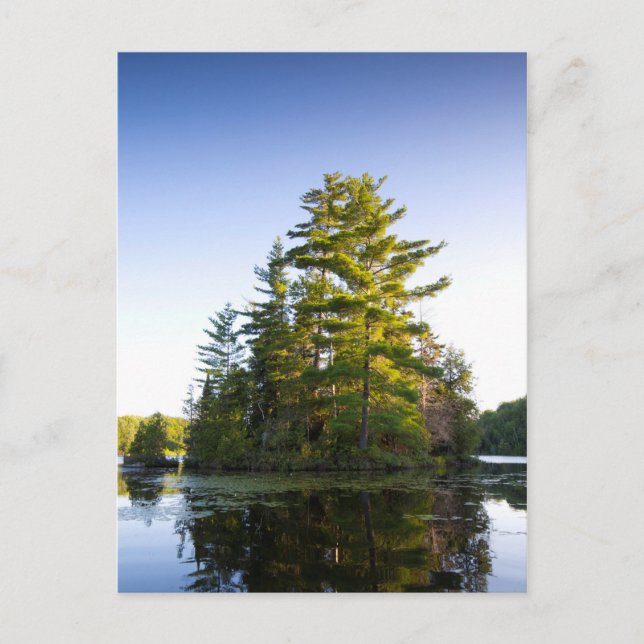 Postal Isla en el lago Long Pond (Anverso)