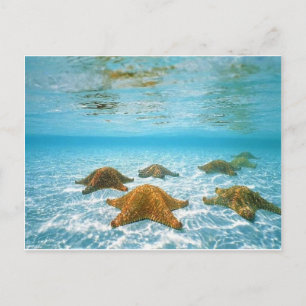 Postal isla estrella.jpg