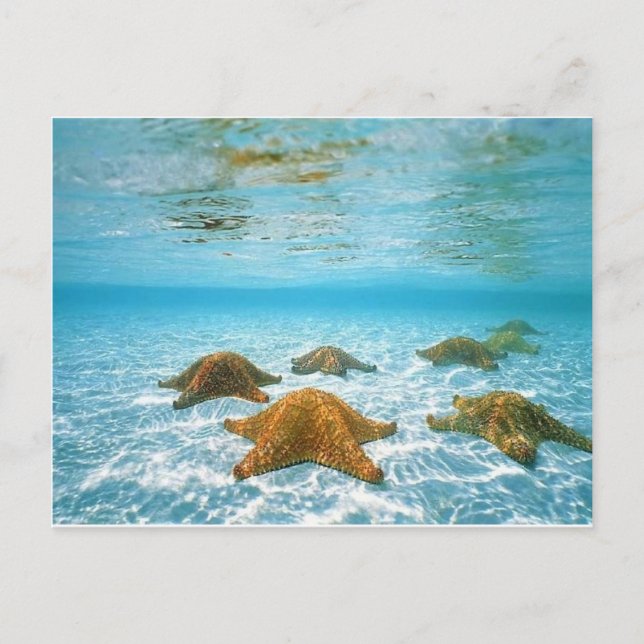 Postal isla estrella.jpg (Anverso)