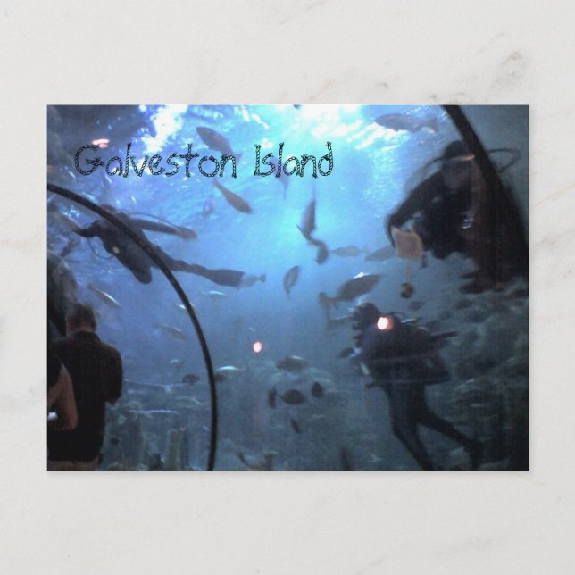 Postal Isla Galveston (Anverso)