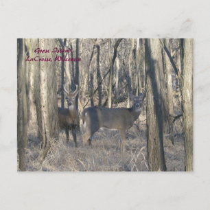 Postal Isla Goose, LaCrosse, Wisconsin