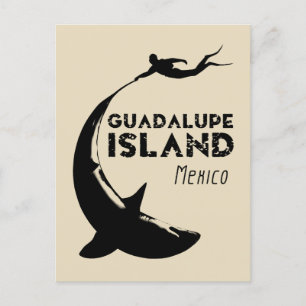 Postal Isla Guadalupe México Buceo Scuba Con Tiburones
