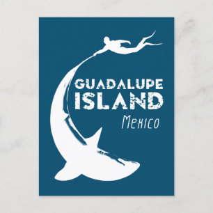 Postal Isla Guadalupe México Buceo Scuba Con Tiburones