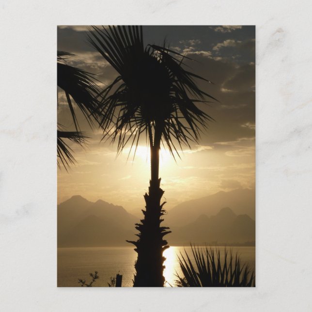 Postal Isla Hawaii Viajes Playa Sunset Palm Trees (Anverso)