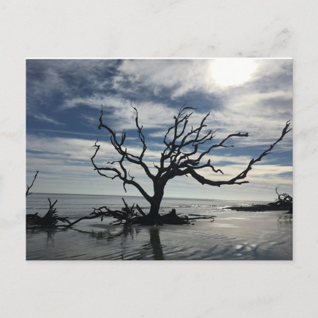 Postal Isla Jekyll Georgia (Anverso)